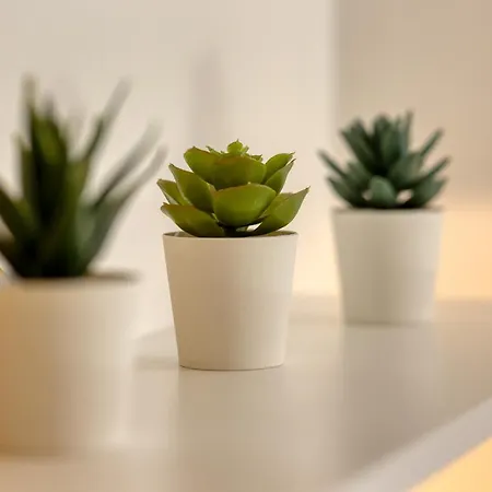 Loulou Maison De Sur 4 Niveaux Au Coeur De Σπίτι διακοπών