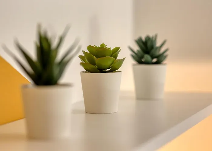 Loulou Maison De Sur 4 Niveaux Au Coeur De 度假居